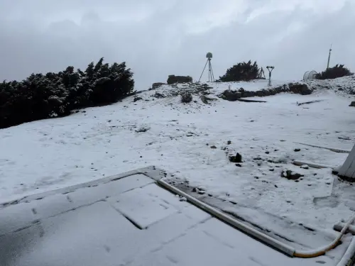 ▲清晨5時45分開始降雪並持續，截至當時累積積雪約2.5公分，稍早9時20分又開始降雪，山頂雪白一片相當夢幻。
