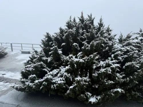 ▲。（圖／中央氣象署cwa.gov.tw）