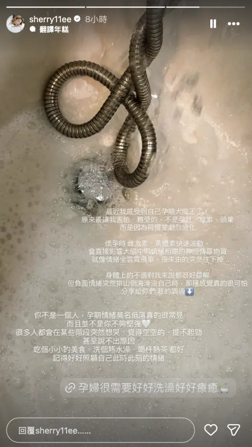 ▲依依分享自己碰上了孕期大魔王，心情總是起起伏伏。（圖／IG＠sherry11ee）