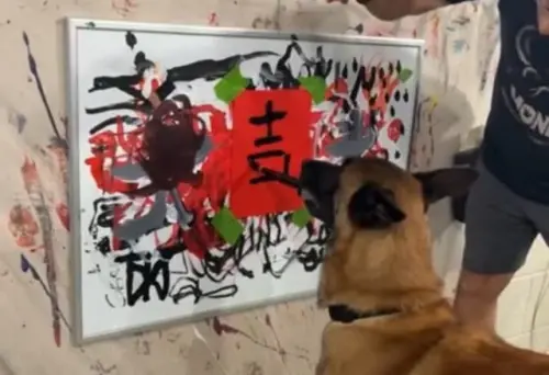 狗界畢卡索又進化了！牧羊犬Monkey「用中文寫春聯」　競標價曝光
