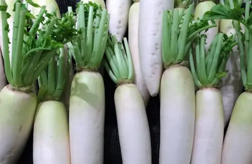 ▲食農專家韋恩提到，白蘿蔔葉雖然口感較粗、略帶辛辣，因此很多人料理前都會將其切除，但葉子的營養價值遠超乎多數人想像。（圖／Pexles）