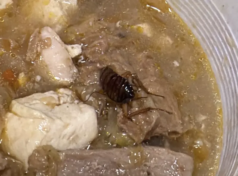 外帶林聰明沙鍋魚頭！湯內竟挖出「超大蟑螂」：吐了　業者急道歉