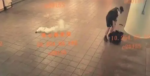 動機、資金來源仍是謎！警追查張文隨機殺人案　緊急設立檢舉專線
