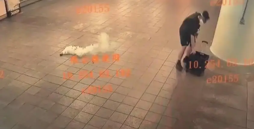 ▲張文19日在台北車站及中山站丟擲煙霧彈、持刀無差別攻擊，釀4死11傷。警方成立專案小組，設立「1219檢舉專線」籲全民提供線索。（圖／翻攝畫面）