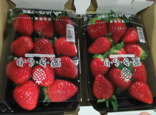 ▲包括「東和水果有限公司」、「藍阿舍餐飲股份有限公司」自日本報驗的草莓共3批檢驗不合格。（圖／食藥署提供）