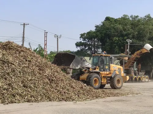 121年歷史善化糖廠年度開工　81天生產1.7萬公噸糖
