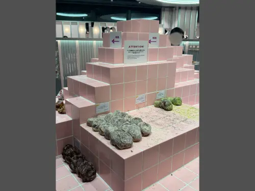 日本甜甜圈名店I’m donut?翻車！擺瓷磚挨轟沒食慾　官方急回應
