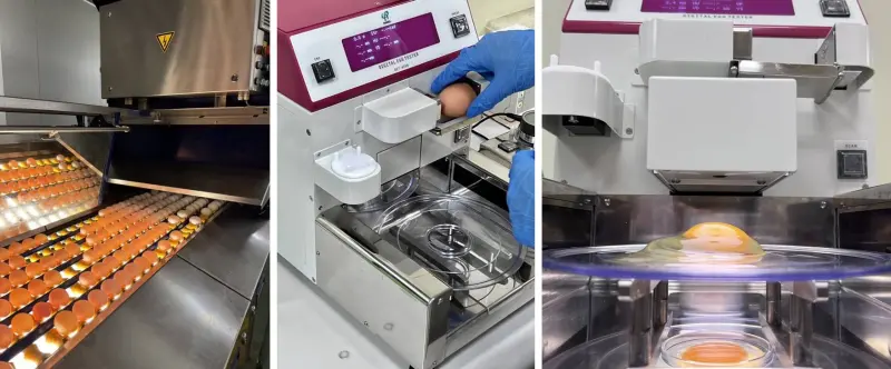    ▲「元氣御選」從飼料、飼養、檢驗、洗選、包裝到物流，全程高規格管控。（圖╱統一提供）  