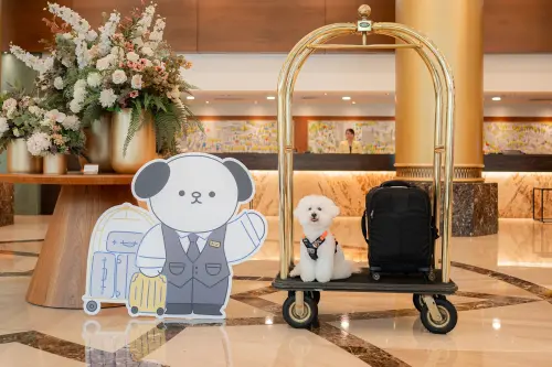 ▲全國飯店啟用寵物友善樓層措施成亮點，春節期間訂房詢問明顯增加。（圖／業者提供）