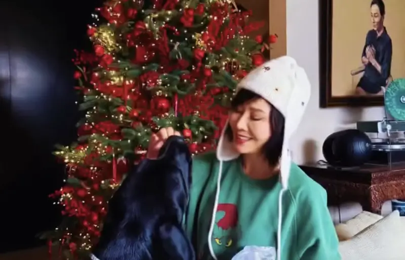 劉嘉玲聖誕節公開11億豪宅超華麗！媲美5星飯店　傳為張國榮不賣