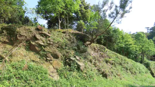 聖誕節、跨年夜不要亂放煙火！新北森林覆蓋率76％　籲防森林火災
