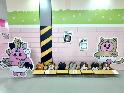 ▲褲褲兔收養的流浪貓一字排開。（圖／記者蕭涵云攝）