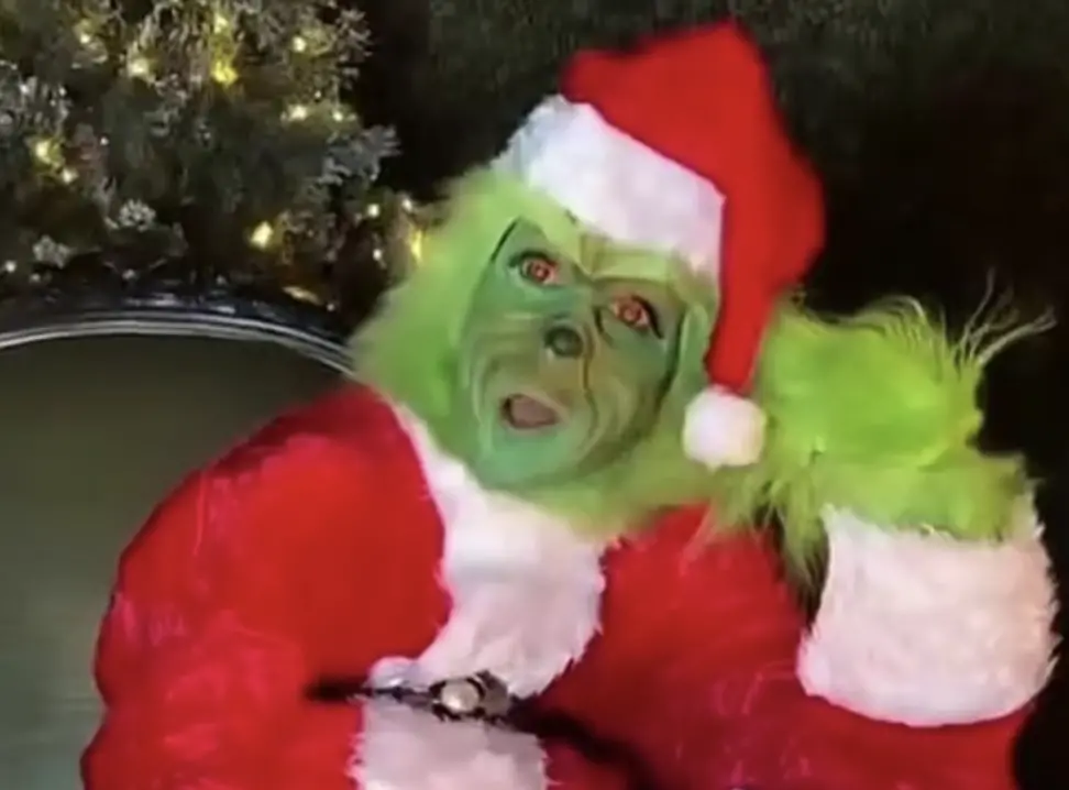 ▲席琳狄翁聖誕節扮《鬼靈精》，這位樂壇天后綠毛遮臉，粉絲完全認不出來，還大唱自己的經典歌曲〈All by Myself〉，讓粉絲被逗樂。（圖／摘自 IG@celinedion）