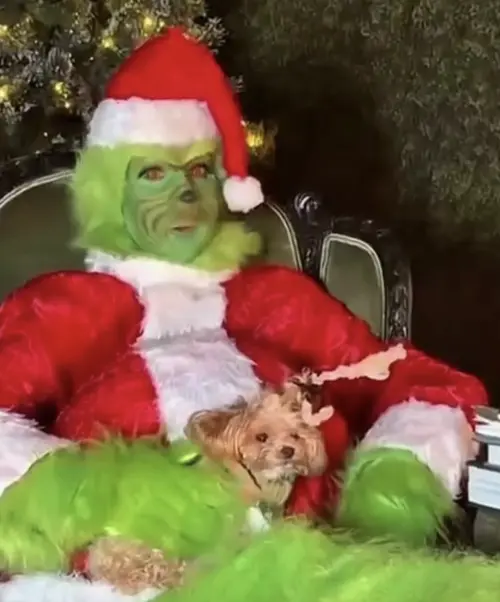 ▲席琳狄翁把狗狗也抱出來一起拍聖誕搞笑短片。（圖／摘自 IG@celinedion）