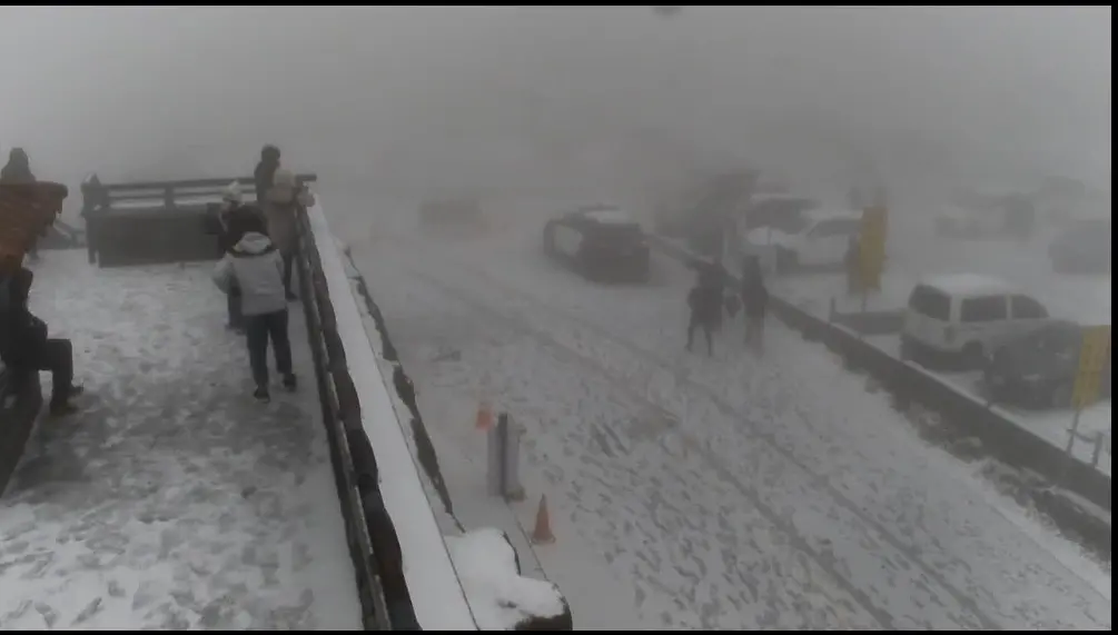 ▲徹夜守候在武嶺停車場的遊客，終於在今晨等到了雪景，但現場能見度並不佳。（圖／翻攝公路總局即時影像，2025.12.26）