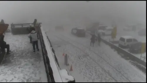 備好雪鏈衝一波！追雪族徹夜守候等到了　合歡山今早白茫茫
