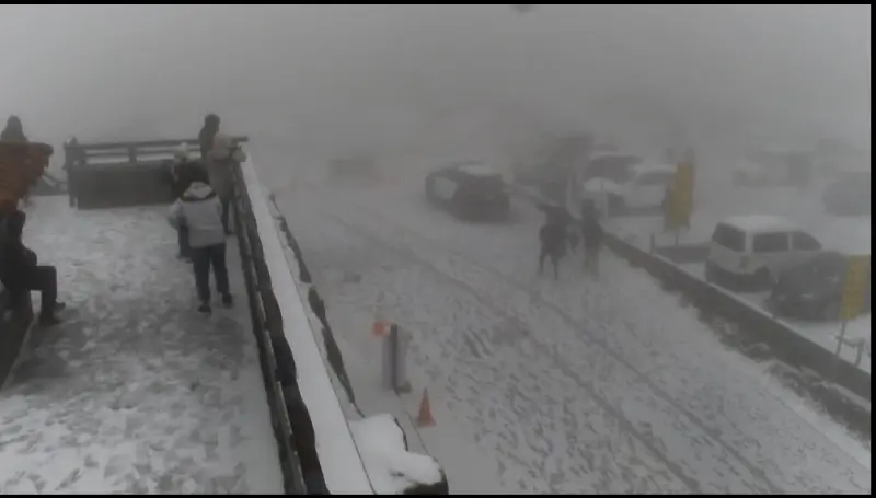 備好雪鏈衝一波！追雪族徹夜守候等到了　合歡山今早白茫茫