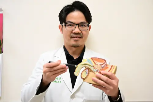 ▲醫師邱鴻傑指出，陰莖本身並沒有骨頭，所謂「骨折」，其實是「白膜」在強烈外力下產生撕裂。（圖／亞大附醫提供）