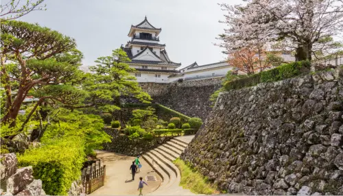 台灣遊客平均去過日本幾次？高知縣調查讓人震撼
