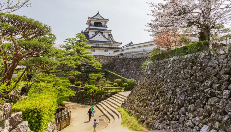 台灣遊客平均去過日本幾次？高知縣調查讓人震撼