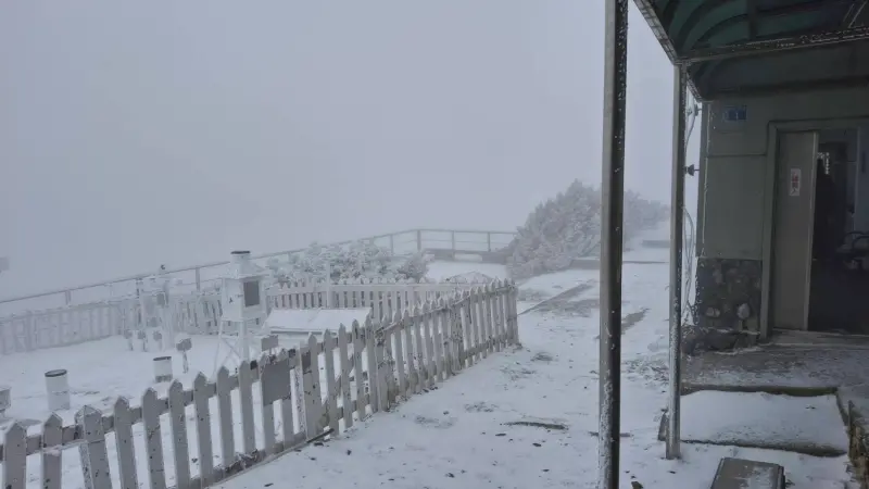 ▲玉山中午12時38分至下午1時20分又降雪將近1小時，目前也持續下雪中。（圖／中央氣象署cwa.gov.tw）