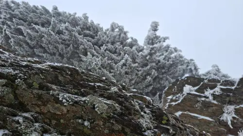 ▲。（圖／中央氣象署cwa.gov.tw）