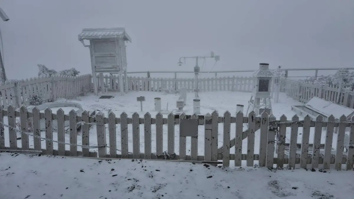 ▲受到大陸冷氣團來襲影響，玉山北峰今天清晨降雪，合歡山、太平山也下起了冰霰。（圖／中央氣象署cwa.gov.tw）