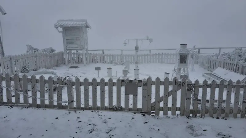 入冬最強冷氣團來襲！合歡山、太平山「追雪即時影像」連結一次收