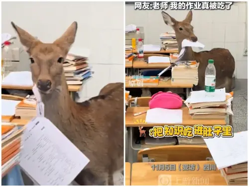 作業真的被鹿吃了！小鹿闖5樓教室啃試卷　網笑：懂咬文嚼字的鹿
