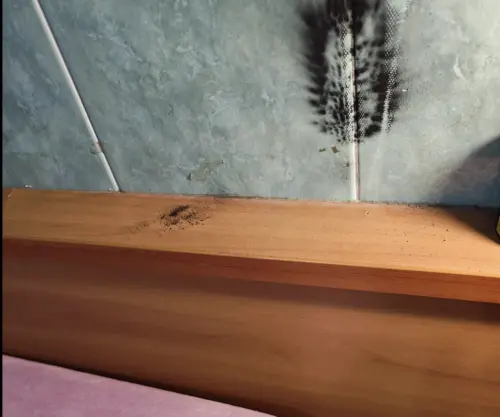 ▲小米喇叭「沒插電照樣燒」半夜自燃全屋毒氣　米粉嘆：不敢買了。（圖／翻攝@&nbsp;yours_0806 Threads）