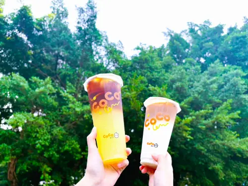 週二買一送一、天天果咖優惠！CoCo果咖熱度升溫
