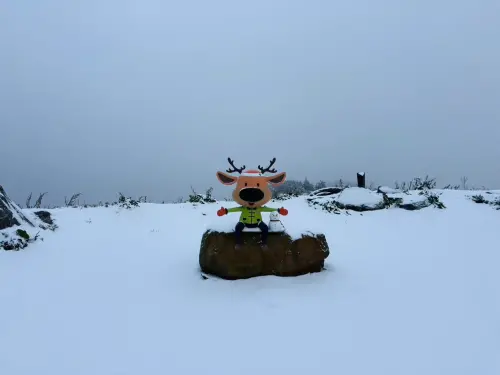雪還在下！宛如置身歐洲銀白世界　合歡山松雪樓一夜積雪9公分
