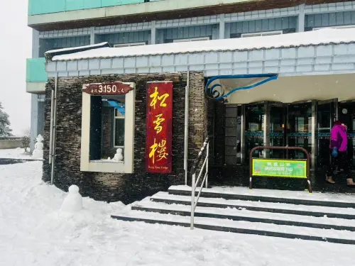 ▲松雪樓前已堆起好幾個小雪人。（圖／林業及自然保育署南投分署提供，2025.12.27）