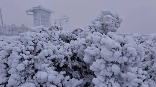 ▲玉山清晨降雪，約清晨6點前雪停，目前雖未繼續降雪，不過積雪深達1.5公分。（圖／中央氣象署cwa.gov.tw）