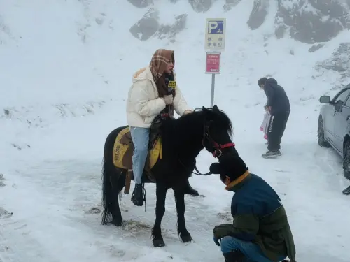直擊武嶺銀白世界！他竟「騎馬」上山追雪　民眾全看傻
