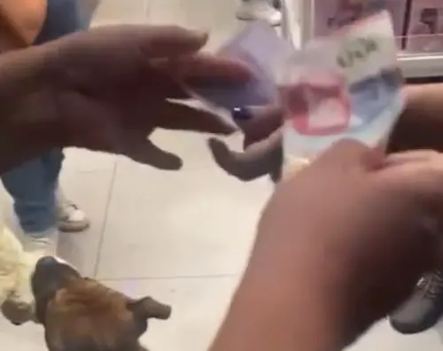 ▲狗狗與店員僵持幾十秒之後，有好心路人直接掏錢幫狗狗買下娃娃。（圖／翻攝Tiktok@gustavobaltazartrejo）