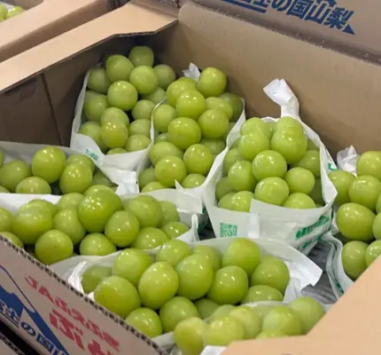 跨年吃葡萄脫單爆紅！一票實測認證