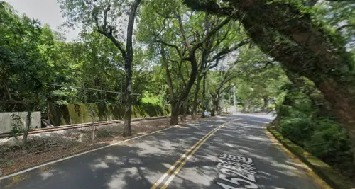 ▲集集鎮的綠色隧道，多年不見小火車行駛，觀光業受到嚴重衝擊。（圖／翻攝google街景圖，2025.12.29）