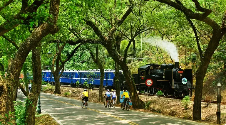 ▲集集鎮的綠色隧道，多年不見小火車行駛，觀光業受到嚴重衝擊。（圖／翻攝南投旅遊網，2025.12.29）