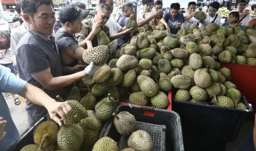 供過於求！馬來西亞貓山王榴槤收購價跌破10令吉　創10年新低
