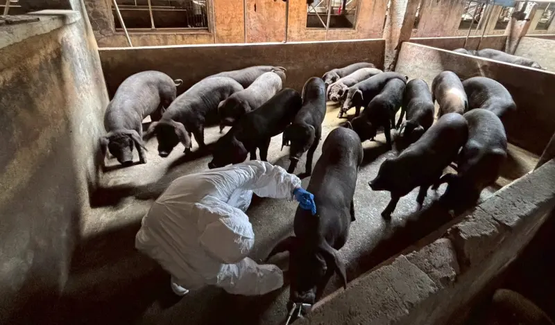 台中廚餘政策出爐！清運業者恐調漲收費　市府提醒超過這數不合理