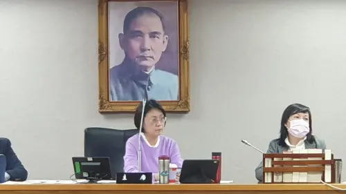 提案修憲降罷免總統門檻挨批　翁曉玲反嗆：民進黨大罷免就可以？
