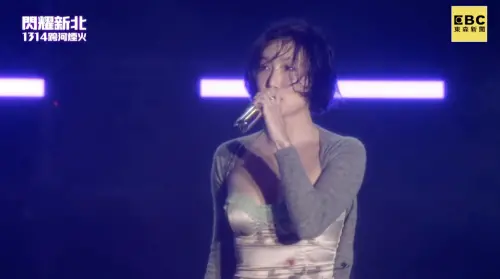 ▲華莎（圖／翻攝自新北市文化局YouTube）