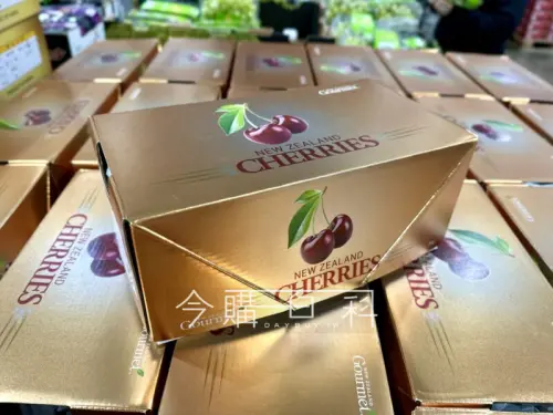▲櫻桃季節到了，好市多最新上架的紐西蘭櫻桃梗是鮮綠色的，非常新鮮。（圖／今購百科）