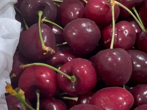 ▲資深果粉認為，紐西蘭這批摘得太生，糖度難以上探20度，口感相較去年落差甚大。（圖／台灣好市多臉書 facebook.com/TAIWAN.COSTCO）