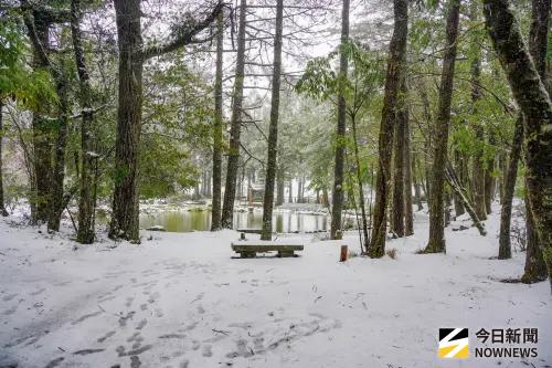 冬遊梨山賞雪梅　台中Hi8開趴抽總統套房
