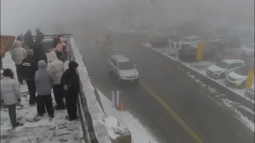 ▲今天上午的武嶺亭，雪已暫緩但視線不佳，遊客不斷湧進。（圖／翻攝合歡山武嶺亭即時影像，2026.01.02）