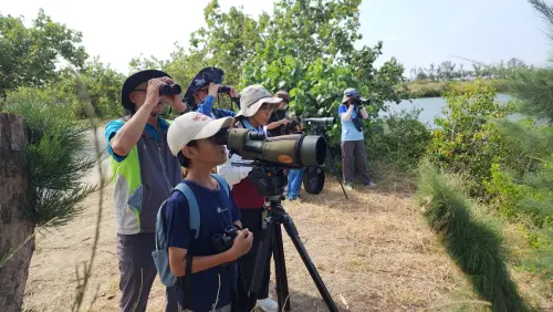 來去雲嘉南賞鳥變EASY 專人導覽體驗不一樣生態之旅
