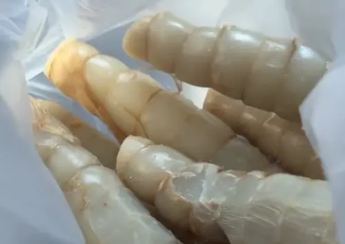 以為雞母蟲！他吃「1物」竟是台灣極品美食　內行讚：有錢買不到
