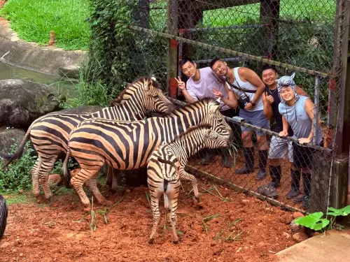 全台唯一！春節住六福莊「體驗6大人氣動物」 含早餐、晚餐吃到飽
